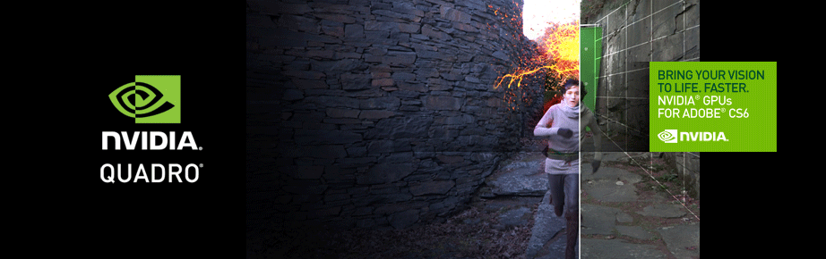 NVIDIA QUADRO
