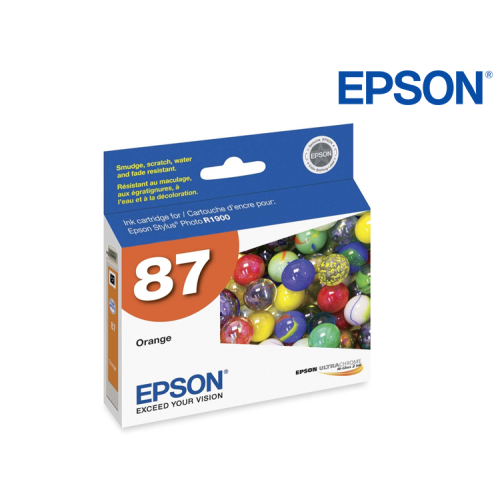 CARTUCHO EPSON STYLUS PRO T087920