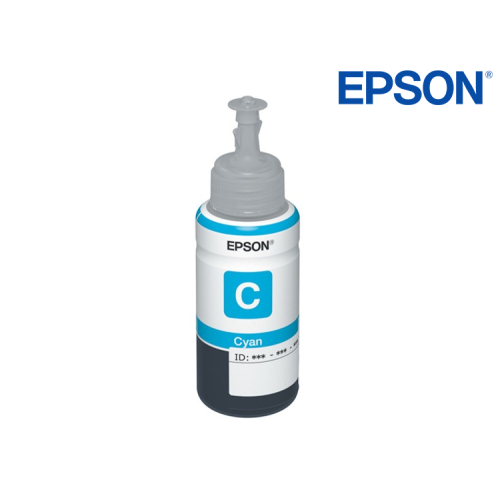 BOTELLA EPSON ECOTANK FOTO T673220